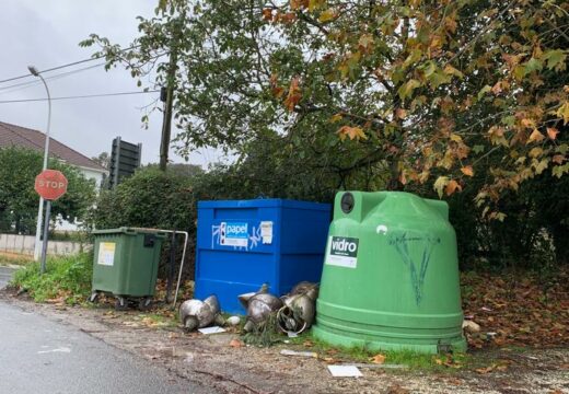 Alternativa denuncia novamente a deixadez da Concelleira de Medio Ambiente pola pésima xestión no control de residuos urbanos